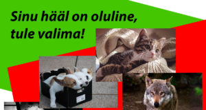 Vali aasta loomasõbralik ja -vaenulik tegu