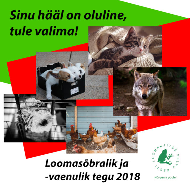 ELS_loomas6bralikvaenulik_ruut