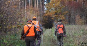 Keskkonnaamet pikendas Jõgevamaa jahipiirkondade kasutusõiguse lube