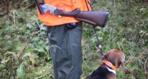 Järvamaa alustab uue jahikursusega aprillis