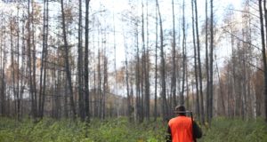 Saaremaa alustab jahikursusega märtsis