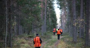 Märtsis algab Viljandimaal jahikursus