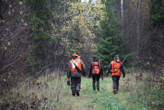 Valtus algab jahikursus 31.oktoobril