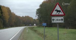 Ringvaade uuris mis juhtub kui põdraga kokku põrgata