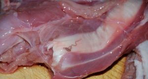 Põdralihast leiti silmatorkav parasiit