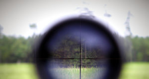 Öösihikut on nüüd lubatud seakatku tõrjumiseks kasutada