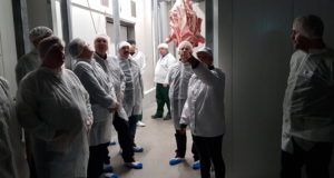 Märtsis saab taas osaleda sanitaar- ja hügieenikoolitusel