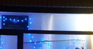 Piltuudis: Väätsal kaunistati jõuluteemalisi vaateaknaid