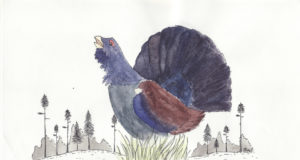 EJS soovib rahulikku pühadeaega! 31.detsembril on kontor suletud.