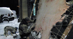 Jahimehed, tooge hirve- ja põdranahku!