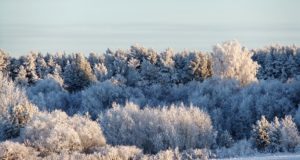 EJS büroo soovib head alanud kopra ja jahiohutuse aastat!