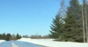 VIDEO! Hunt jookseb Lääne-Virumaal sõiduteele