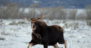 EJS-i presidendi Margus Puusti tervitus alanud aastaks