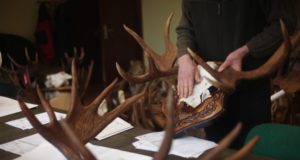 Sel nädalal toimub viimane trofeede hindamine