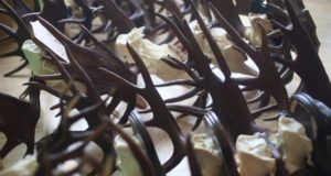 Trofeede seisukorra hindamine ehk kas oleme põdrale liiga teinud?