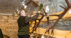 Saaremaal hinnati uus hirve tipptrofee