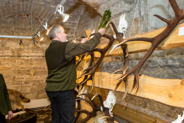 hirvesarved tipptrofee