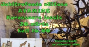 Saaremaal toimub jahitrofeede näitus