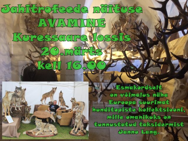 saare näitus 2019 (002)