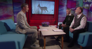 Terevisioonis käsitleti metskitsede hukkumist teedel