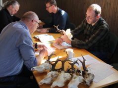 Riias saab osaleda trofee-ekspertide koolitusel