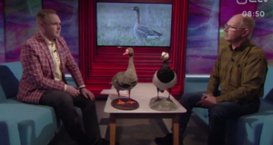 Jahimees tutvustas Terevisioonis rändlinde