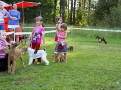 Lapsed saavad kokkutulekul võistelda koeraga