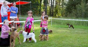 Lapsed saavad kokkutulekul võistelda koeraga