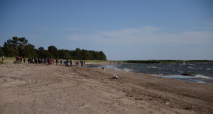 Kokkutulekul hakkavad jahikoerad võistlema jänesejooksus