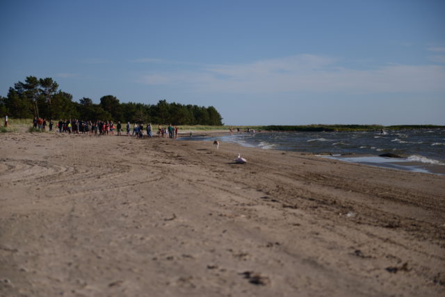 jänesejooks pilt (002)