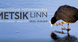 Fotokonkurss “Metsik linn” ootab linnaloodusest pilte