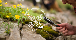 Loodusfoto nädala järjeks on loodusvaatluste maraton