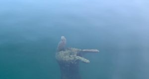 Kas Aidu karjääri uputatu on koer või kadunud hunt?