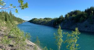Aidu karjääris leitud loom osutus koeraks