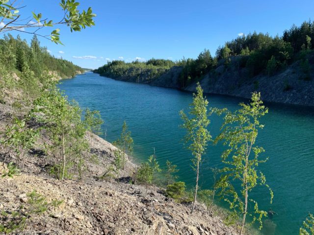 aidu karjäär, koer