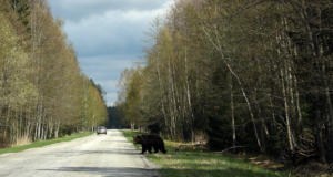 Jahimehed otsivad võimalusi liiklusõnnetuste vähendamiseks