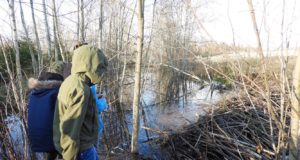 Usin kobras ehitas ohtlikust lõhkekehast tammi ja pani demineerijad tööle