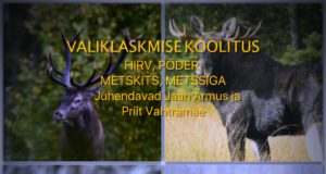 Jahinaised korraldavad EJSis valiklaskmise koolituse