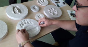 Jahinduse valikaine teemaline koosolek