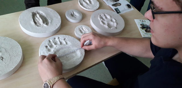 kehra jahindus_144534