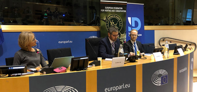 saki-konverents-face