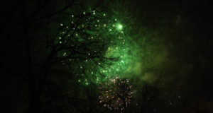 Viljandi rahvas tahab hunte peletada ilutulestikuga