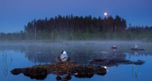 Selgusid Eesti Looduse fotovõistluse võitjad