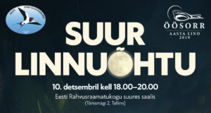 Öösorriaasta saab punkti suurel linnuõhtul