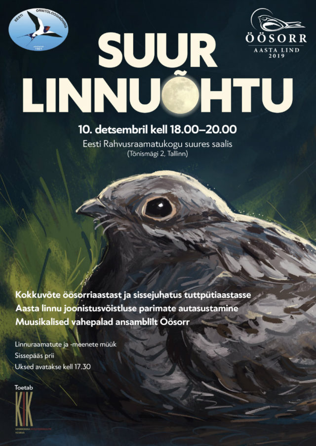 Suur_linnuohtu_10.12.2019