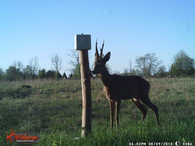 WGI_0086 (2)-raimo soomre