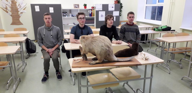 jahinduse valikaine_142902