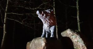 VIDEO! Võrumaal kuulutati välja jahirahu ja püstitati ausammas