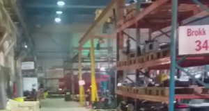 Narva linnas on end sisse seadnud rebased