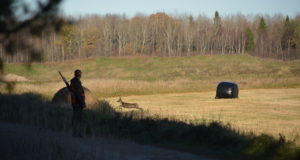 Põtru enam küttida ei või, kuid jahihooaeg kestab